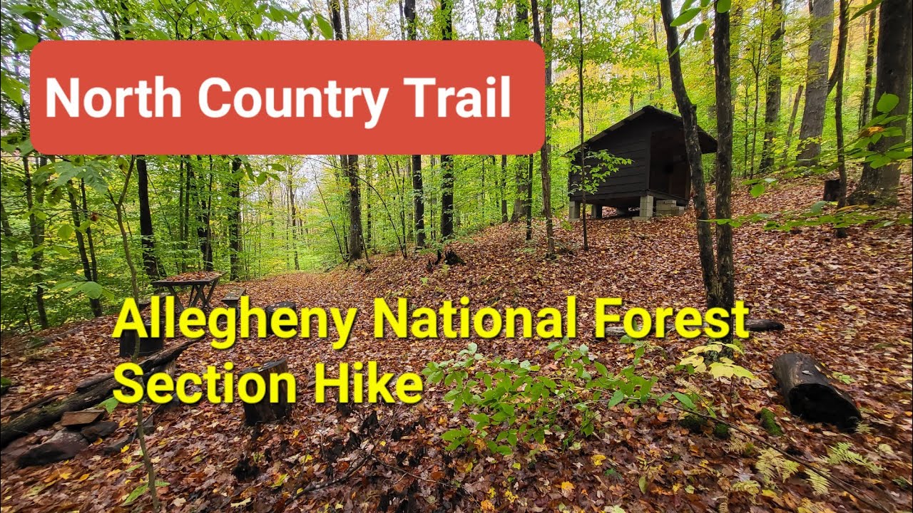 North Country Trail Allegheny National Forest Section Hike