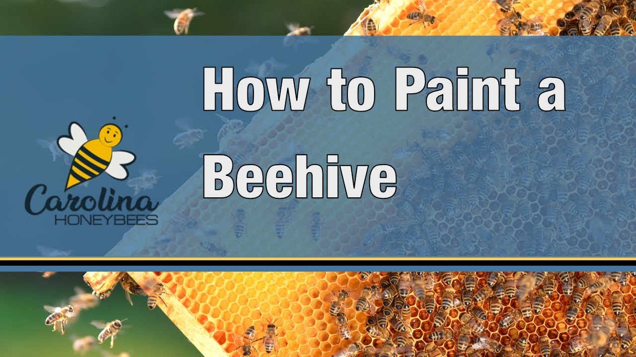 How to Paint Your Bee Hives & Painting Bee Hives - Clean for Spring