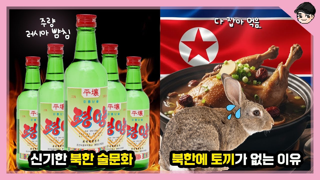 북한에 토끼가 없는 이유ㄷㄷ 신기한 북한 음식문화 35분 몰아보기 총집편 [빠퀴2tv]