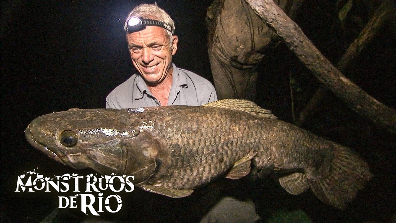 Los Peces M&Aacute;S GRANDES Capturados en la Temporada 3 | Monstruos de R&iacute;o