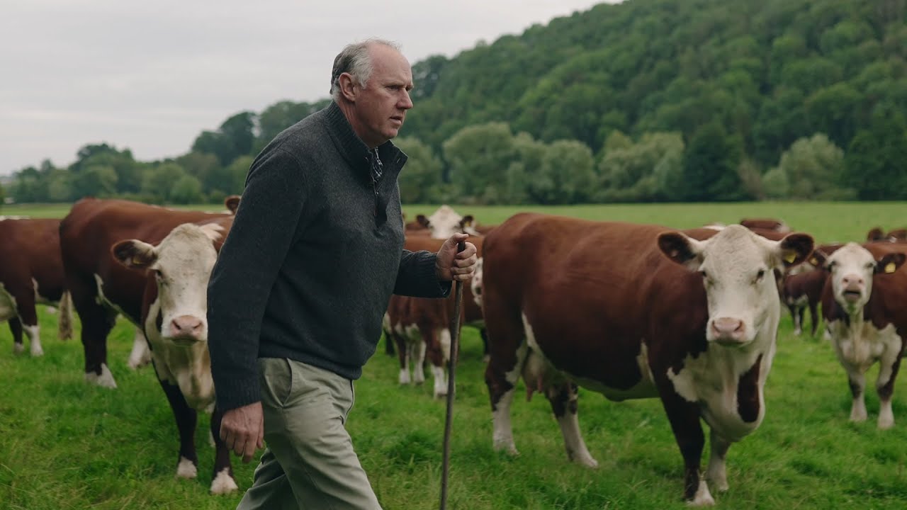 John Walker, a Hereford Cattle Farmer