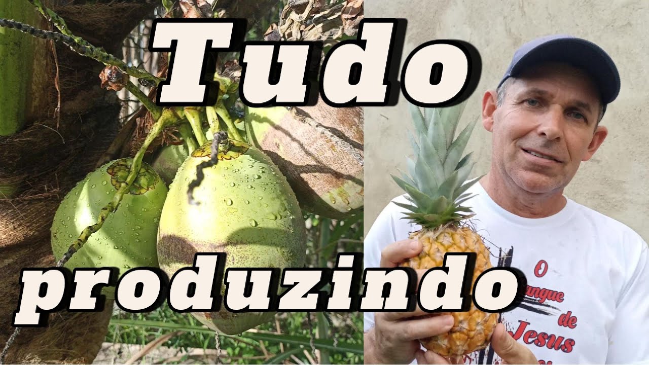 Colher está virando rotina na roça. 😉​🍍​🥭​🍒​🌲​