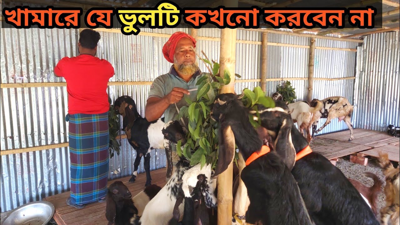 খামারে যে ভুলটি কখনো করবেন না। 