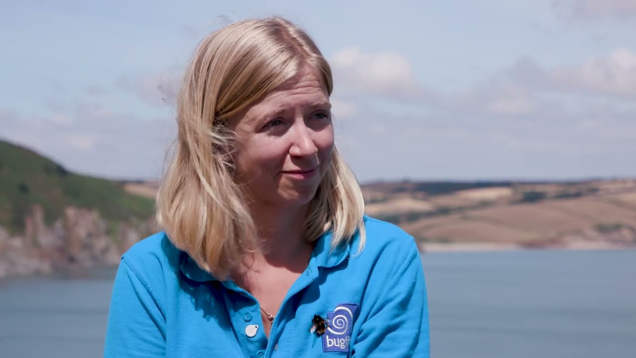 The Box on Screen: Season Two - Episode Two: CLIMATE EMERGENCY