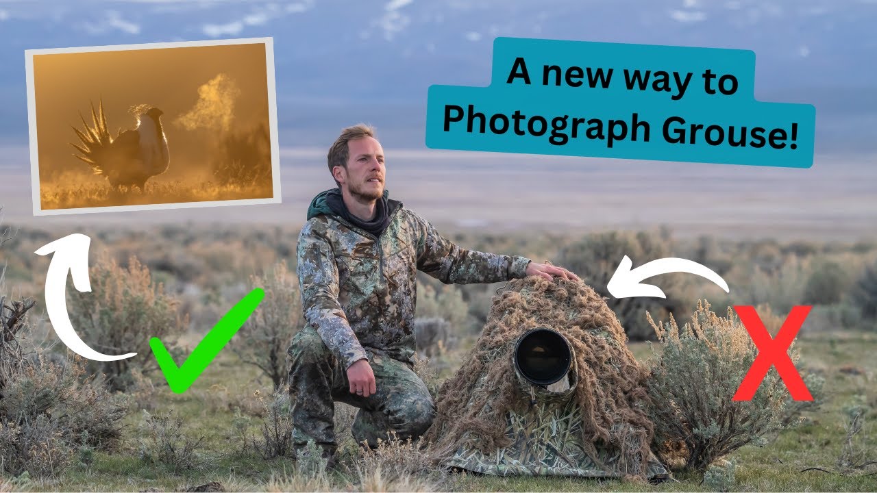Фотографические приключения шалфейного тетерева. Часть 1. Мой новый метод фотографии. Почему я не сделал этого раньше!?