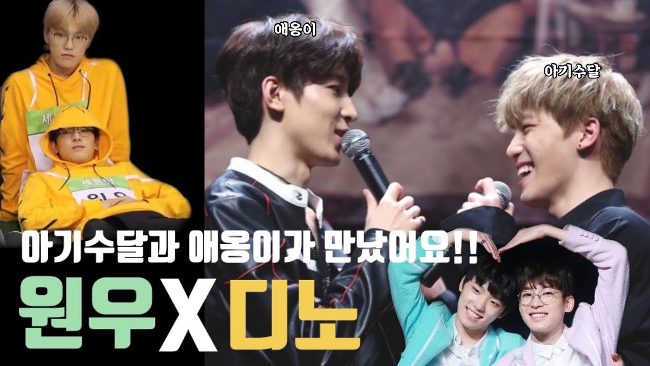 [세븐틴/원우/디노]아니 둘다 아기수달,애옹인데 꽤 사람처럼 생기셨네요?🦦🐱 원우X디노 케미 몰아보기