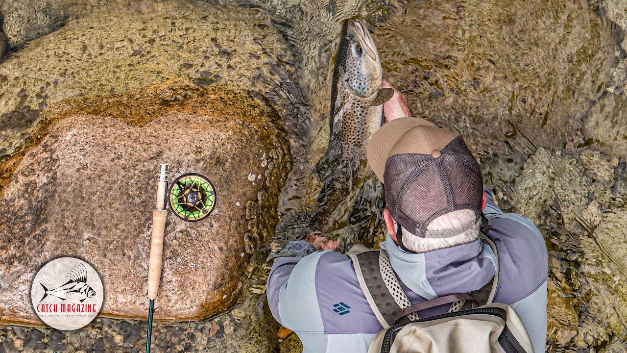 Clear Rivers, Big Brown Trout | Fly Fishing New Zealand's Best Kept Secret