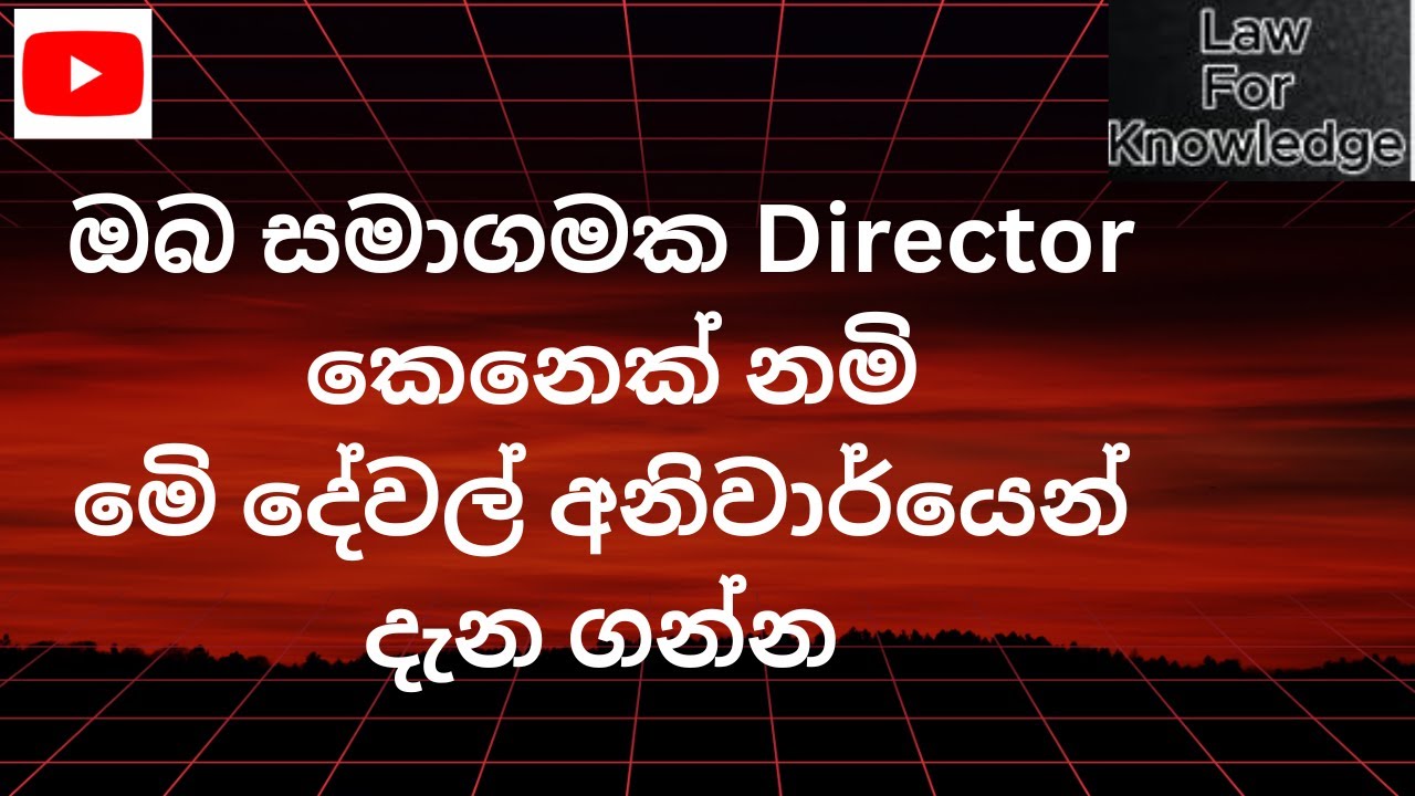 සමාගමක අධ්‍යක්ෂකවරුන්ගේ රාඡකාරීන් සහ වගකීමි - Duties and Liabilities of Company's Directors
