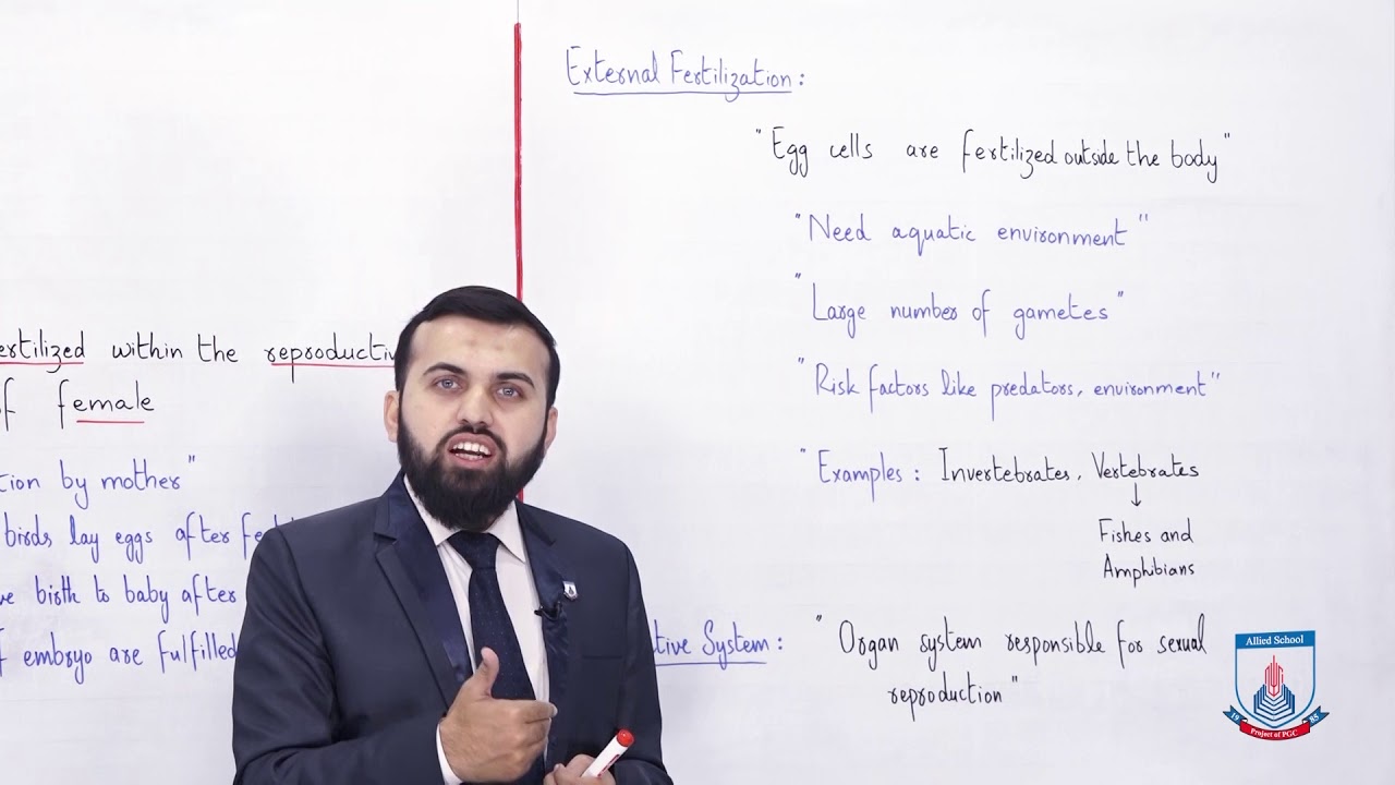 Class 10 - Biology - Chapter 14 - Lecture 11 - Fertilization & reproduction system - Allied Schools