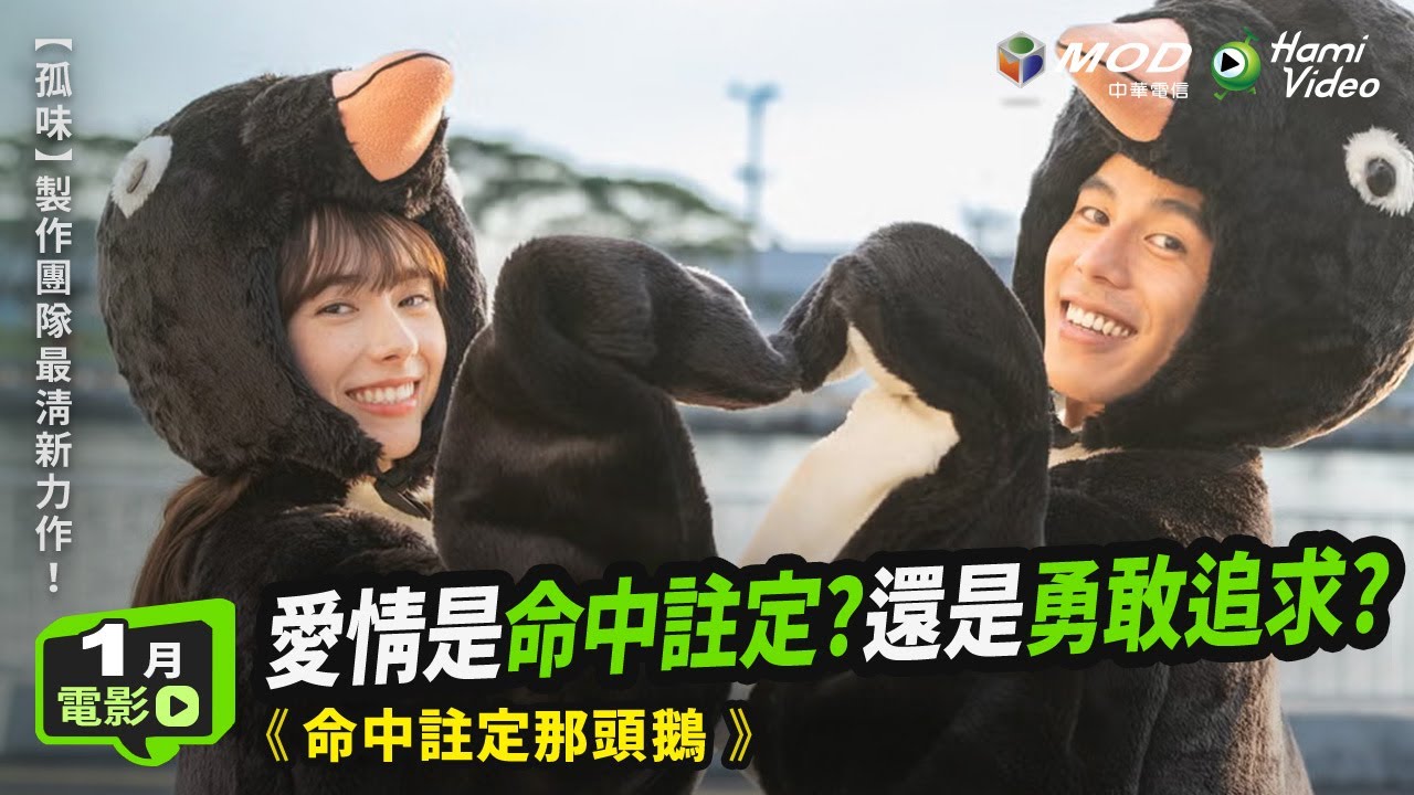 詹懷雲&times;林奕嵐✨改編自金穗獎同名短片 🎬電影《命中註定那頭鵝》#詹懷雲 #林奕嵐 #孤味 #命中註定那頭鵝｜Hami Video 影劇館⁺