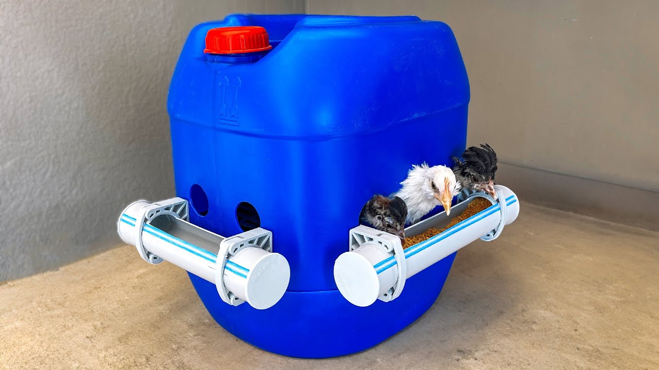 Süper Fikir | 30 Litre Bidondan Civciv Kafesi Yapımı