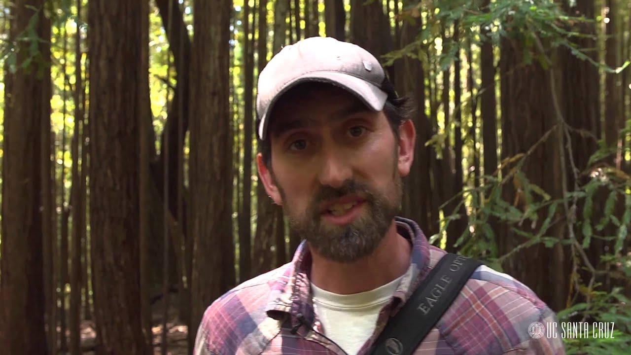 Ecosystems of California: Northcoast Forests