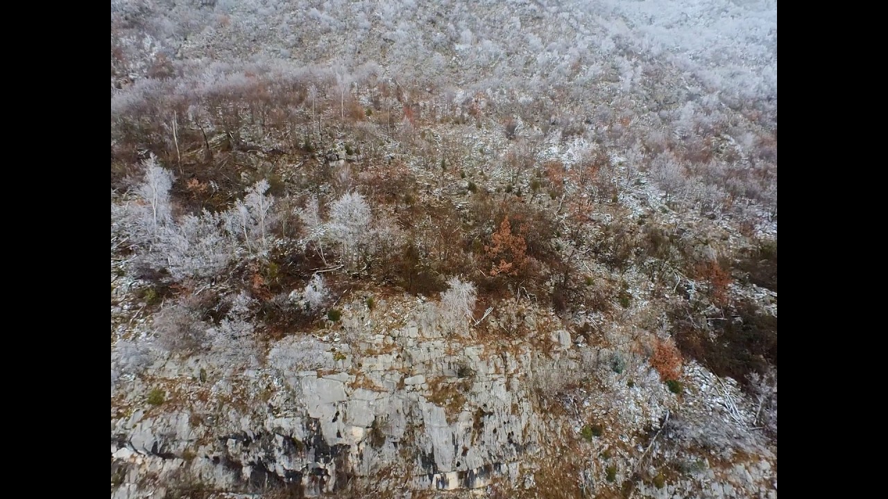 Néron Neigeux