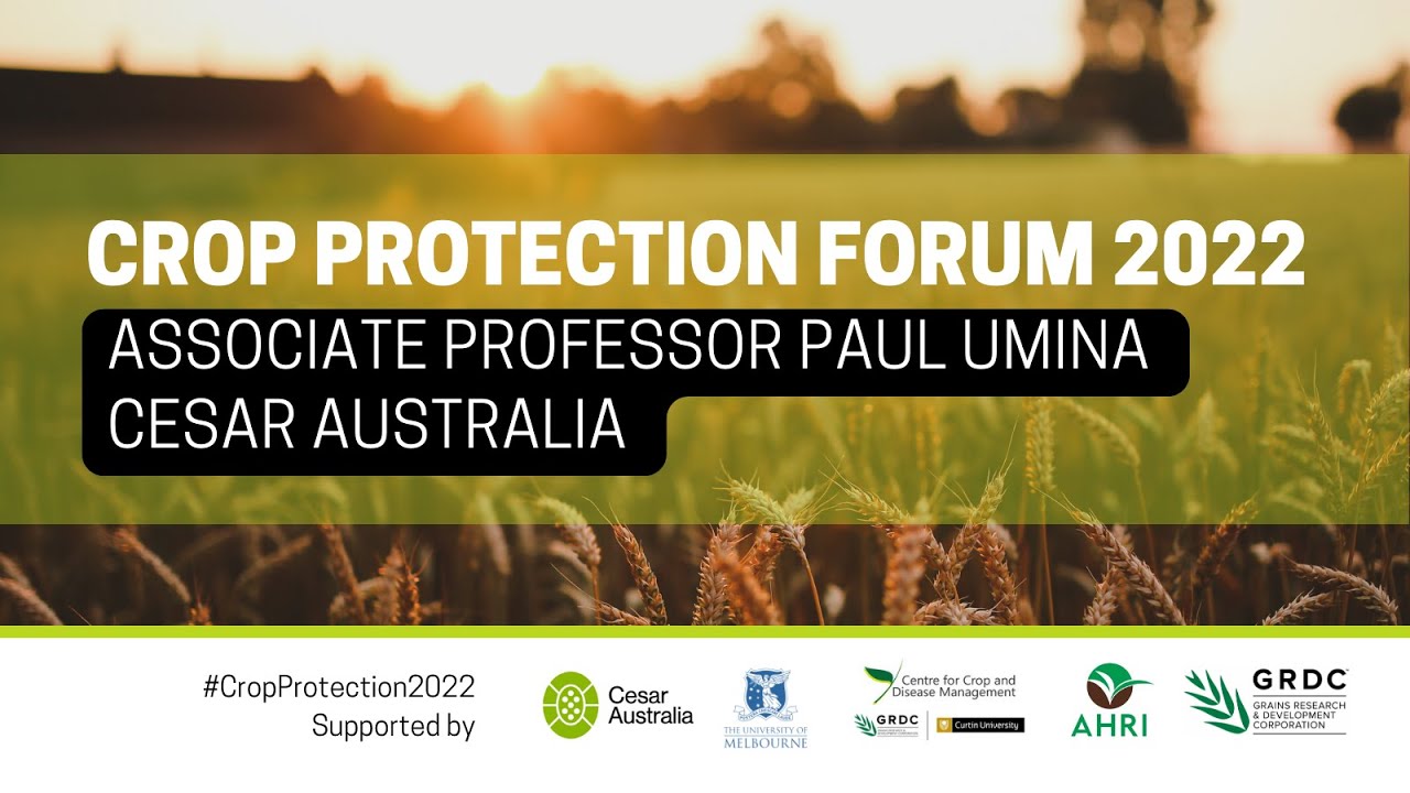 Associate Professor Paul Umina | Crop Protection Forum 2022