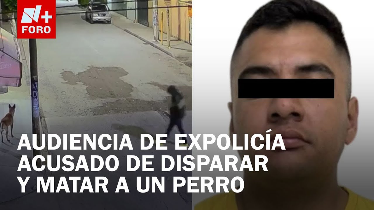 Expolicía que mató a perro en Ecatepec ¿cuántos años podría pasar en prisión? - Expreso de la Mañana