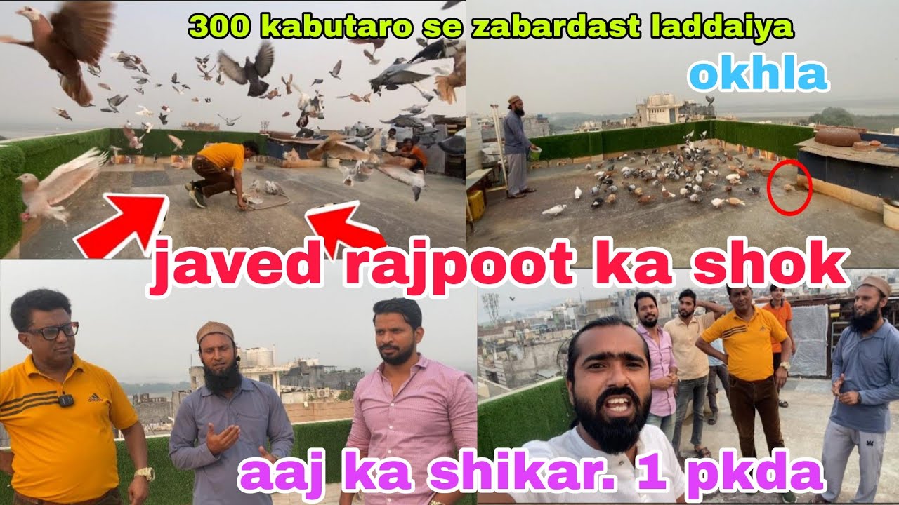 300 kabutaro se Zabardast ladaiyya 1 kabutar pkda. Javed khalifa ka shok. Okhla ki kabutar bazi 