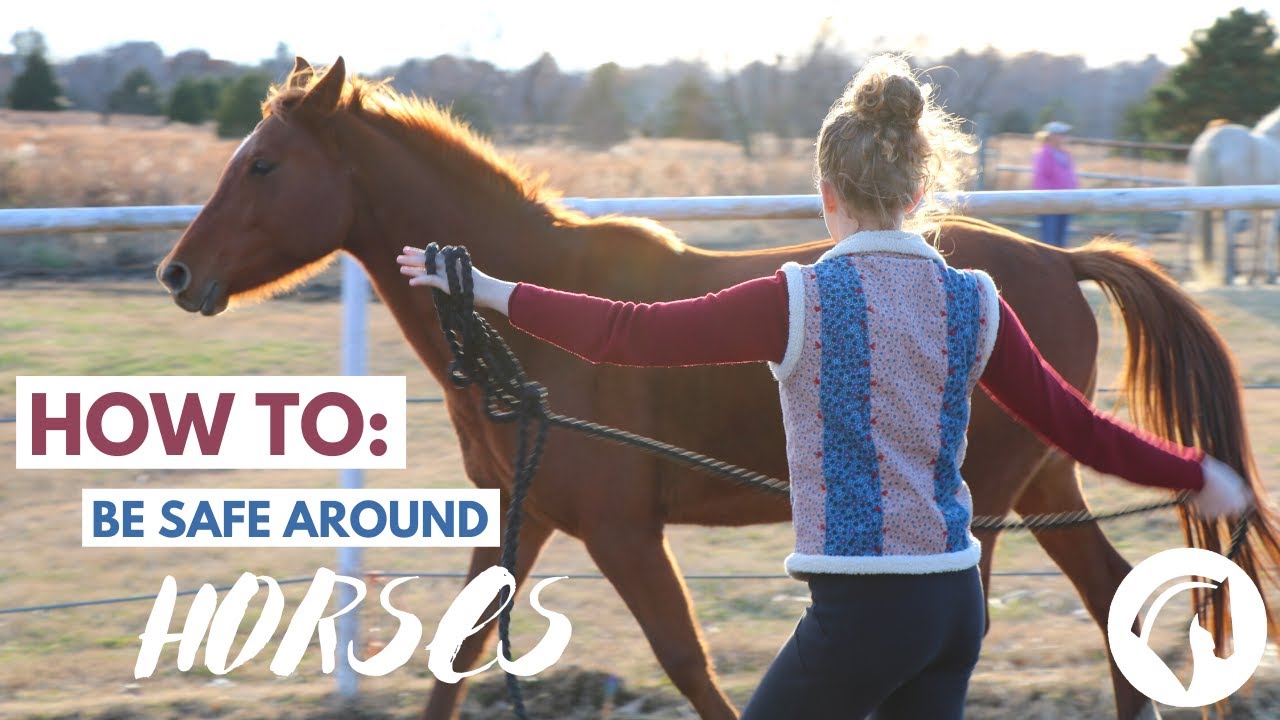How to Be Safe Around Horses (ESSENTIAL Info for Beginners)