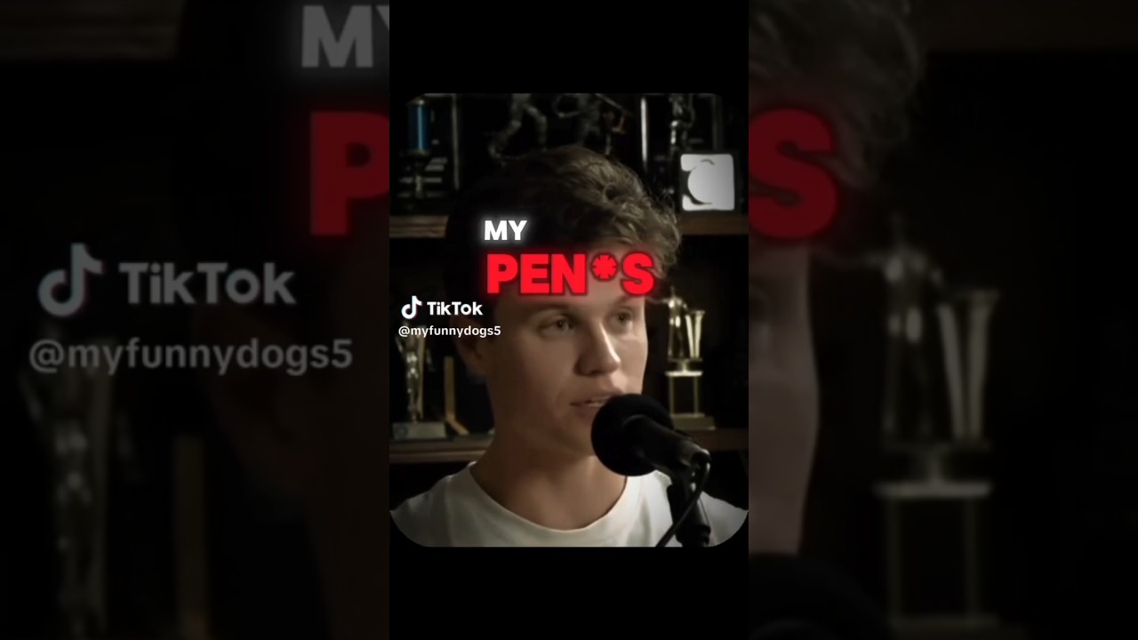 Memes from the Discord basement