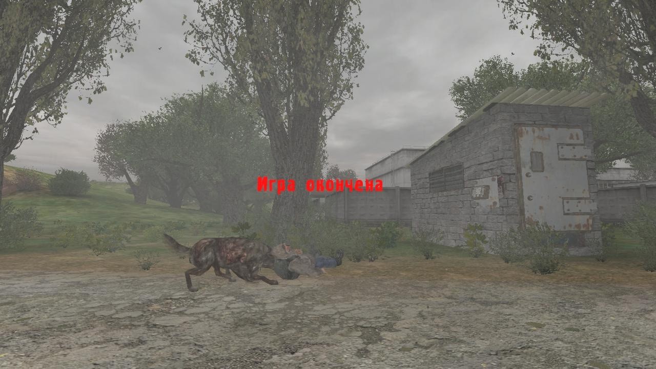 NLC 7 спички не нужны! 407 день. ☢ 103