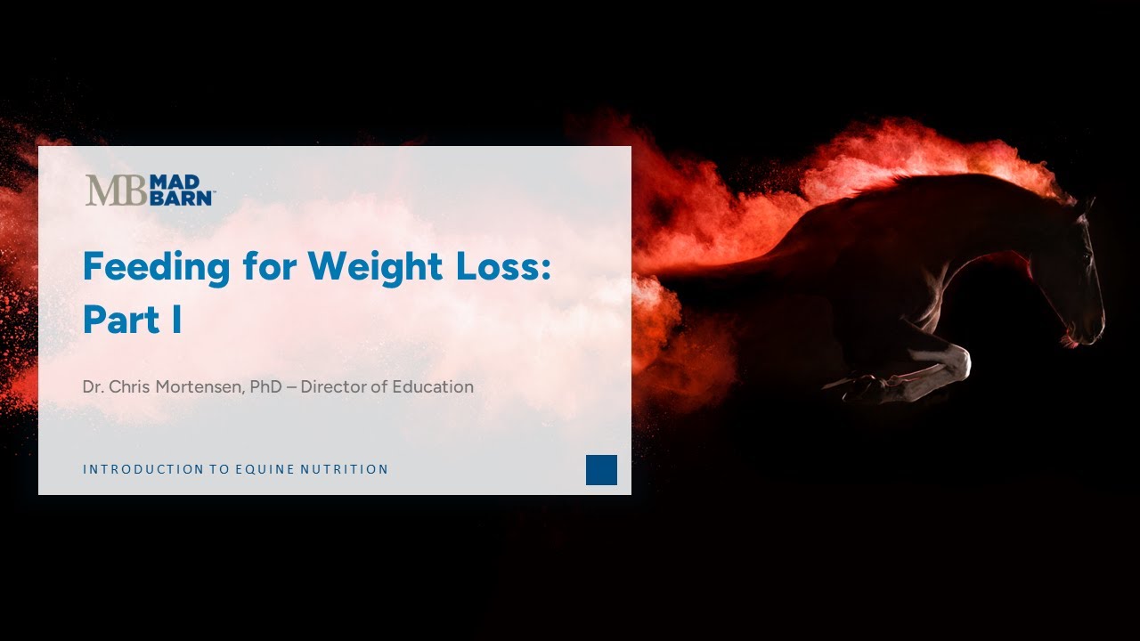 4.1 Feeding Horses for Weight Loss: Part 1 - Introduction to Equine Nutrition - Mad Barn Academy