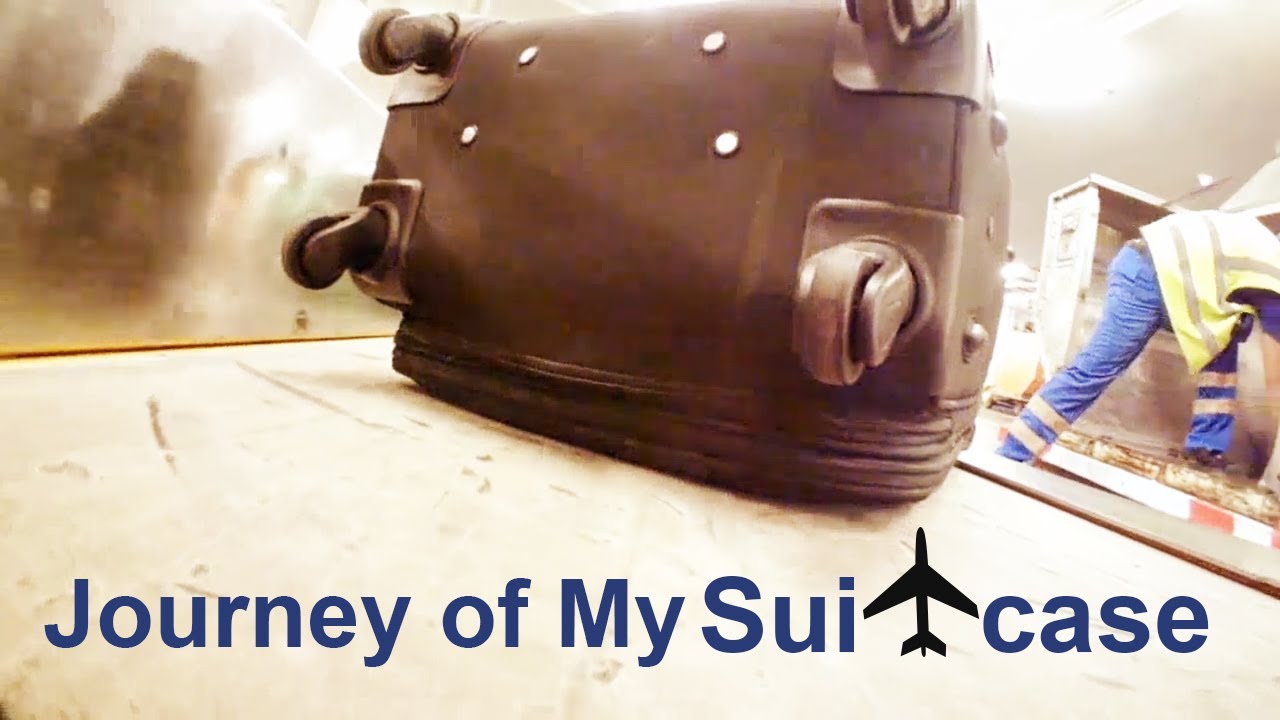 This is What Happens with your Suitcase at the Airport