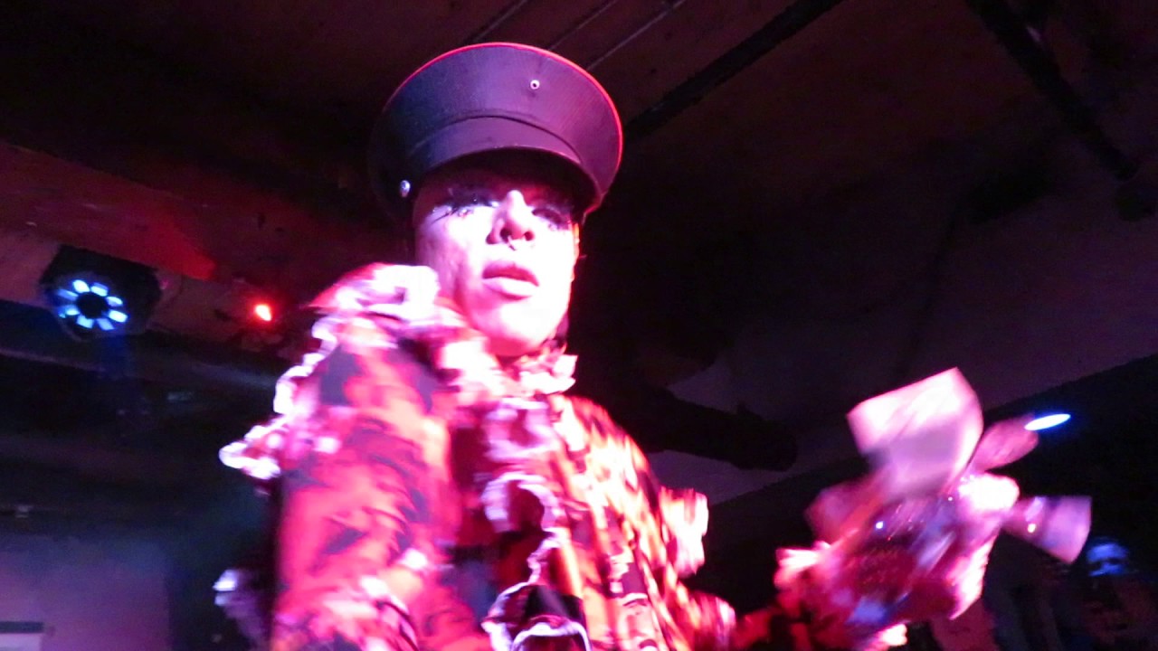 Aja - Van Vogue
