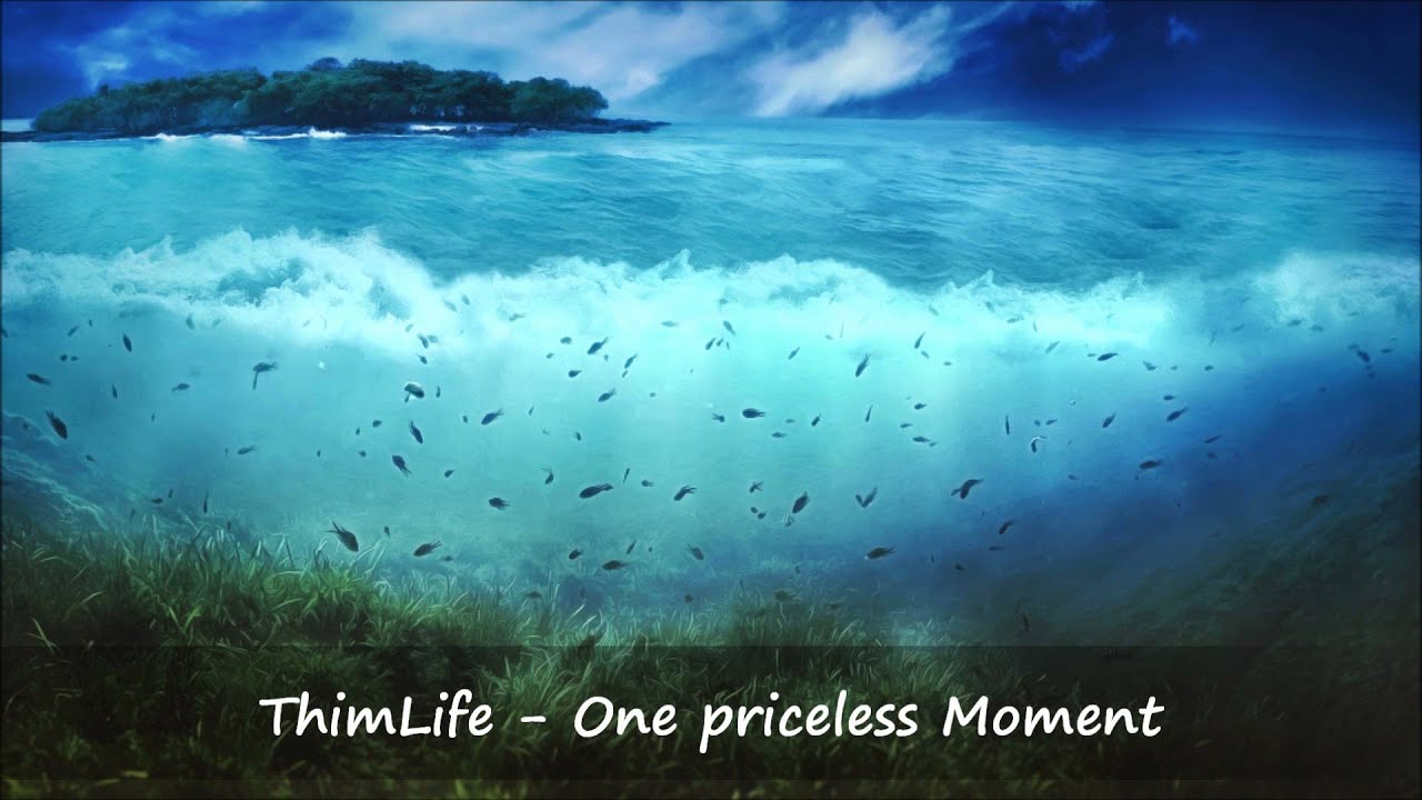ThimLife - One priceless Moment