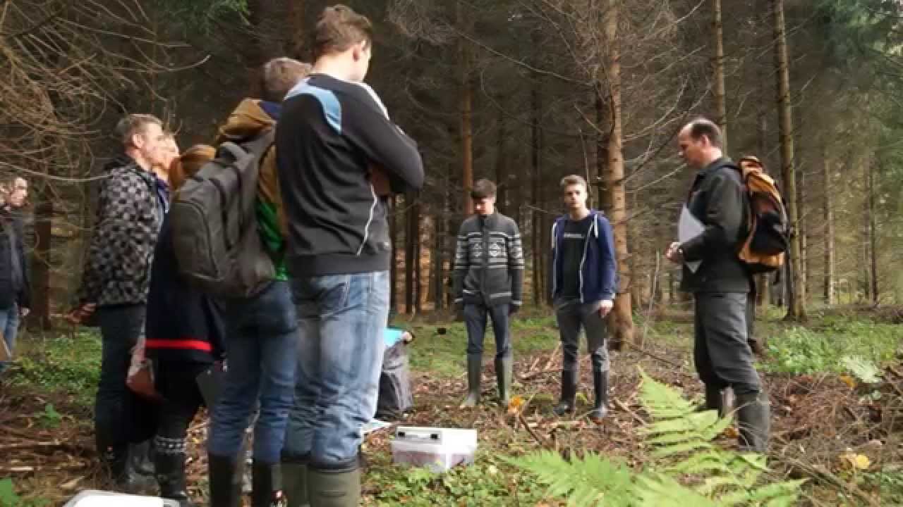 Waldpädagogik in den Landesforsten