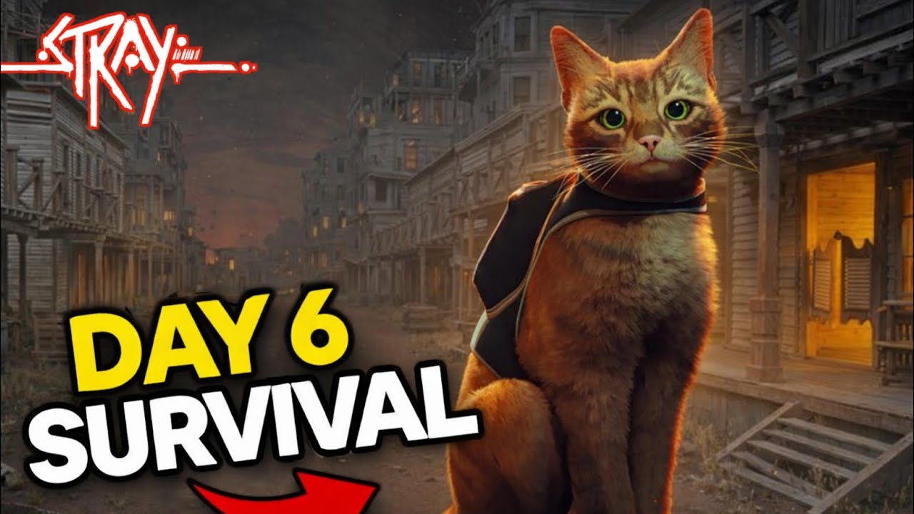 My Cat Is survive in 6 Days  Help ll STRAY  Gameplay