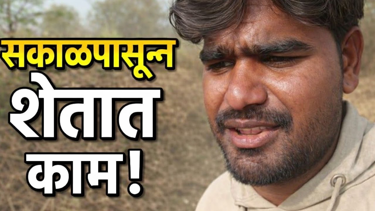 Hard work in the fields since morning | Village Life Vlog #MarathiVlogger #MarathiVlog #FarmLife #vasatkardharajivlog 