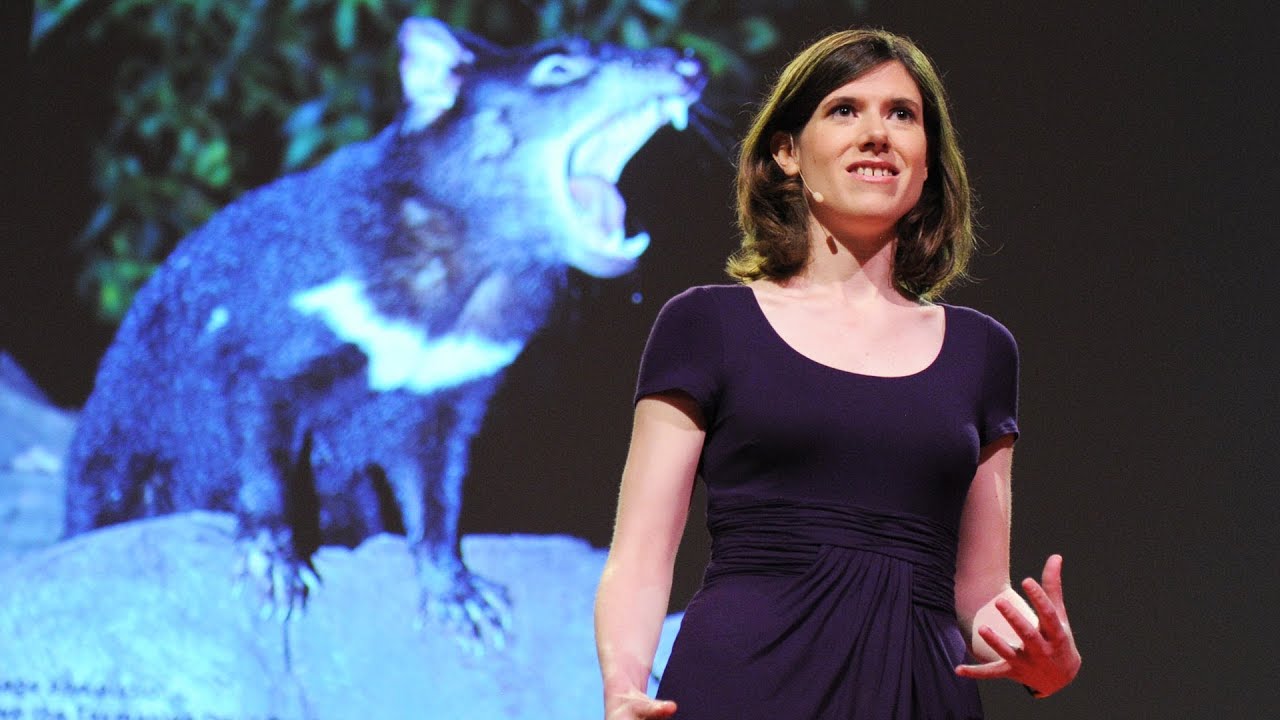 Fighting a contagious cancer - Elizabeth Murchison