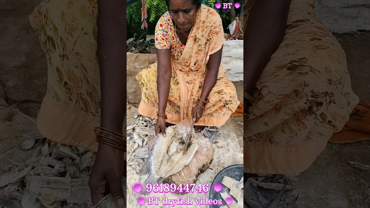 పండుగొరక కటింగ్ part 2#best dryfish #BT Dryfish videos #dryfish #dryfishcutting #viraldryfishvideos👍