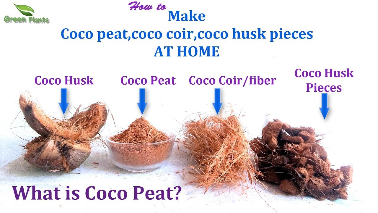 What is Coco peat? & How to Make Coco peat at Home Quick&Easy Way | Best Growing Media//GREEN PLANTS