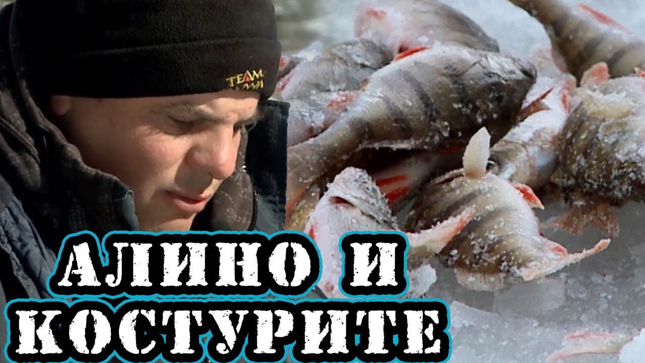 Алино и КОСТУРИТЕ / Състезанието на ТИТАНИТЕ / на какви такъми да заложим в студа?