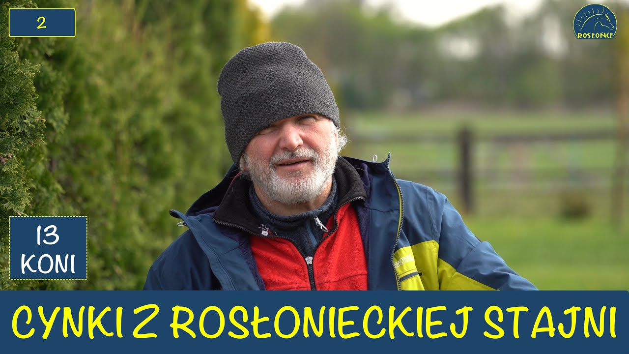 Cynki z Rosłonieckiej Stajni 2 i 3 dzień wyścigowy Służewiec Adam Wyrzyk