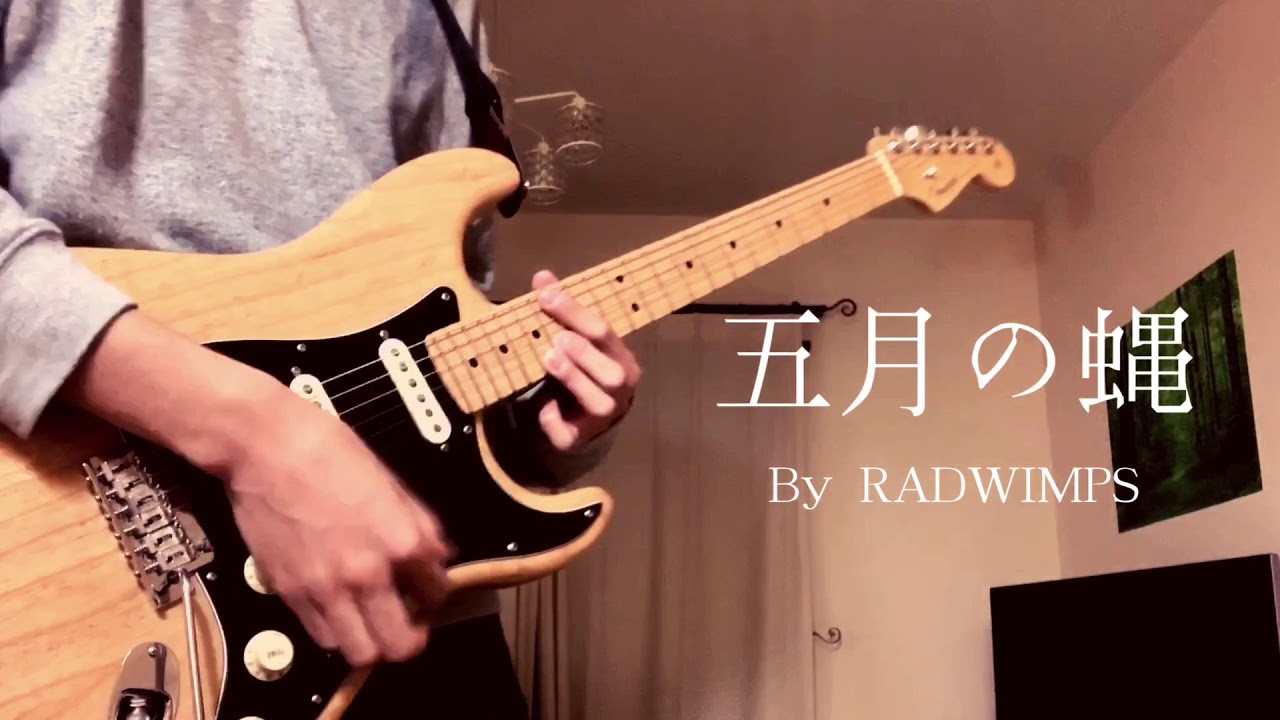 ｢五月の蝿｣-RADWIMPS- 弾いてみた。