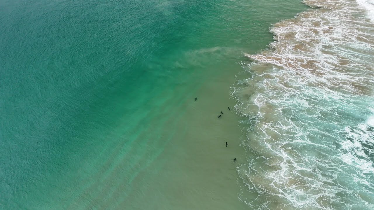 Plettenberg Bay: Afternoon flyover at Robberg 5, seal pups playing in the waves