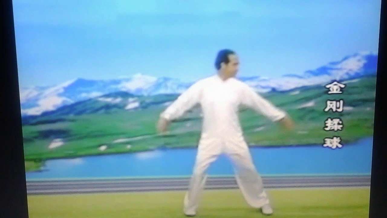 DYYSG - HARMONISER ET RENFORCER LA RATE ET L’ESTOMAC.