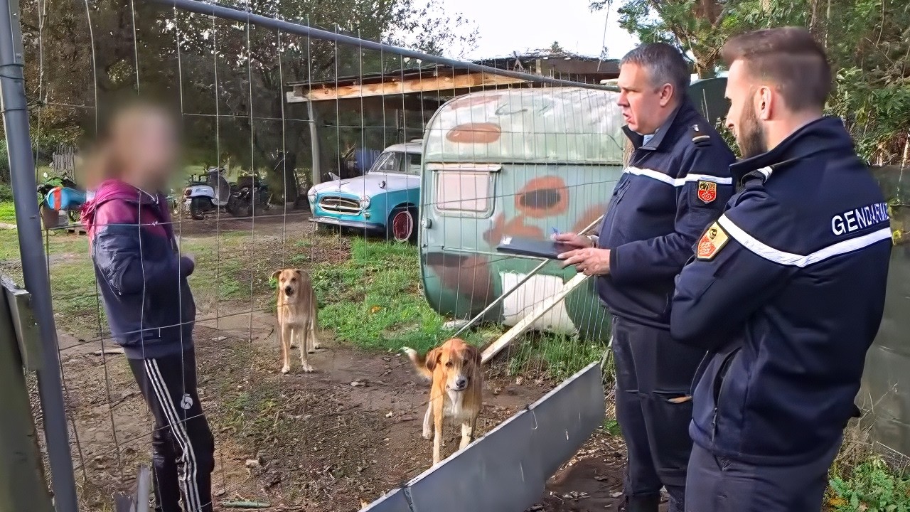 Criminalité en Roussillon,  le travail invisible de la Brigade de Recherche