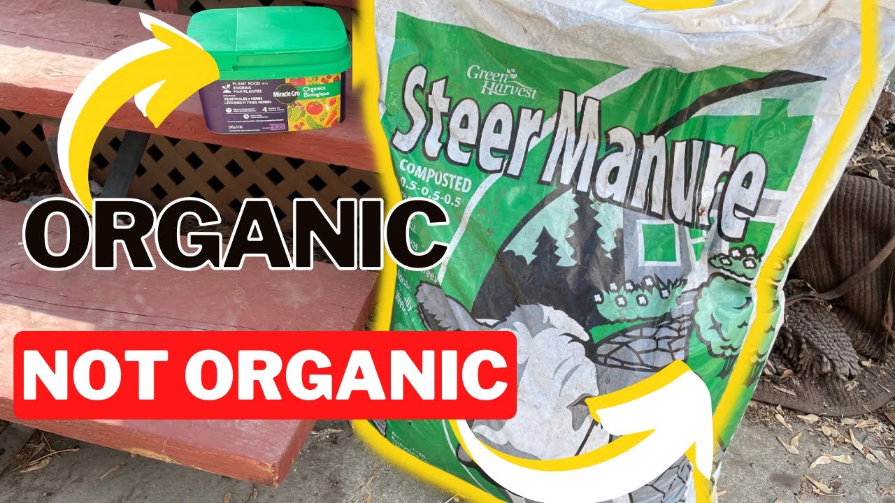 Organic Fertilizer Myth Busting.