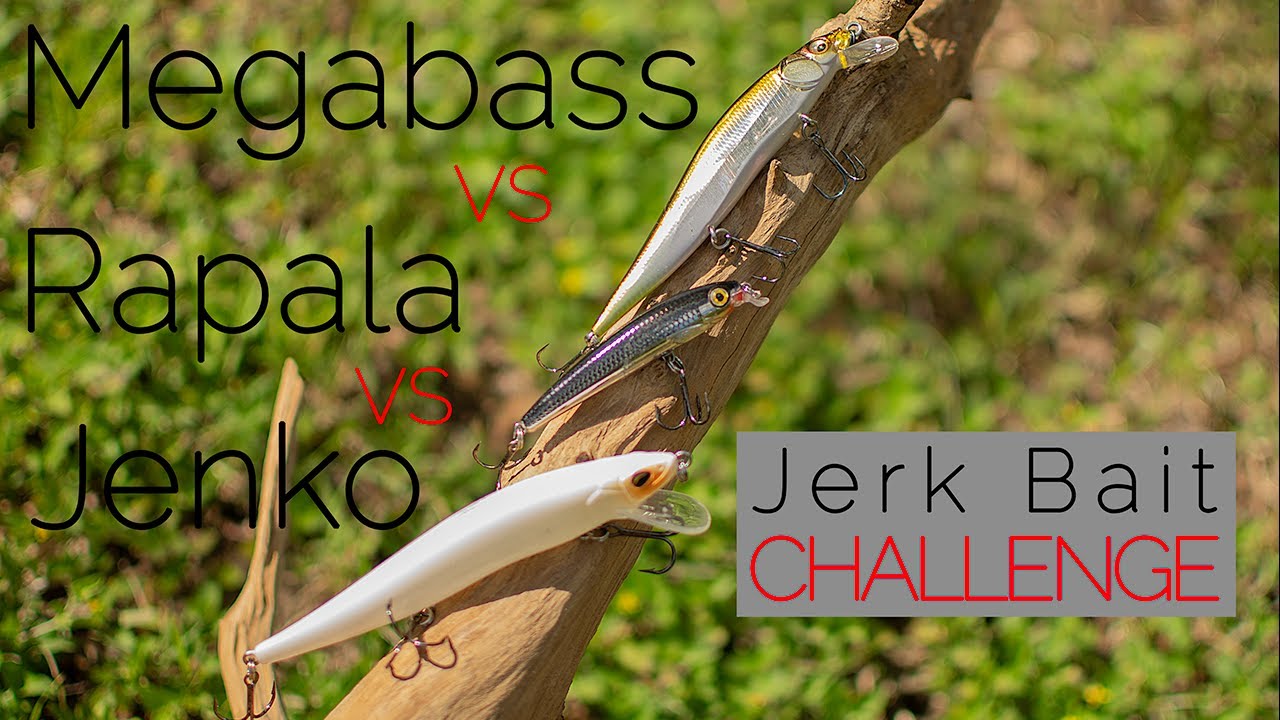 Megabass VS Jenko VS Rapala - Jerk Bait Fishing Challenge