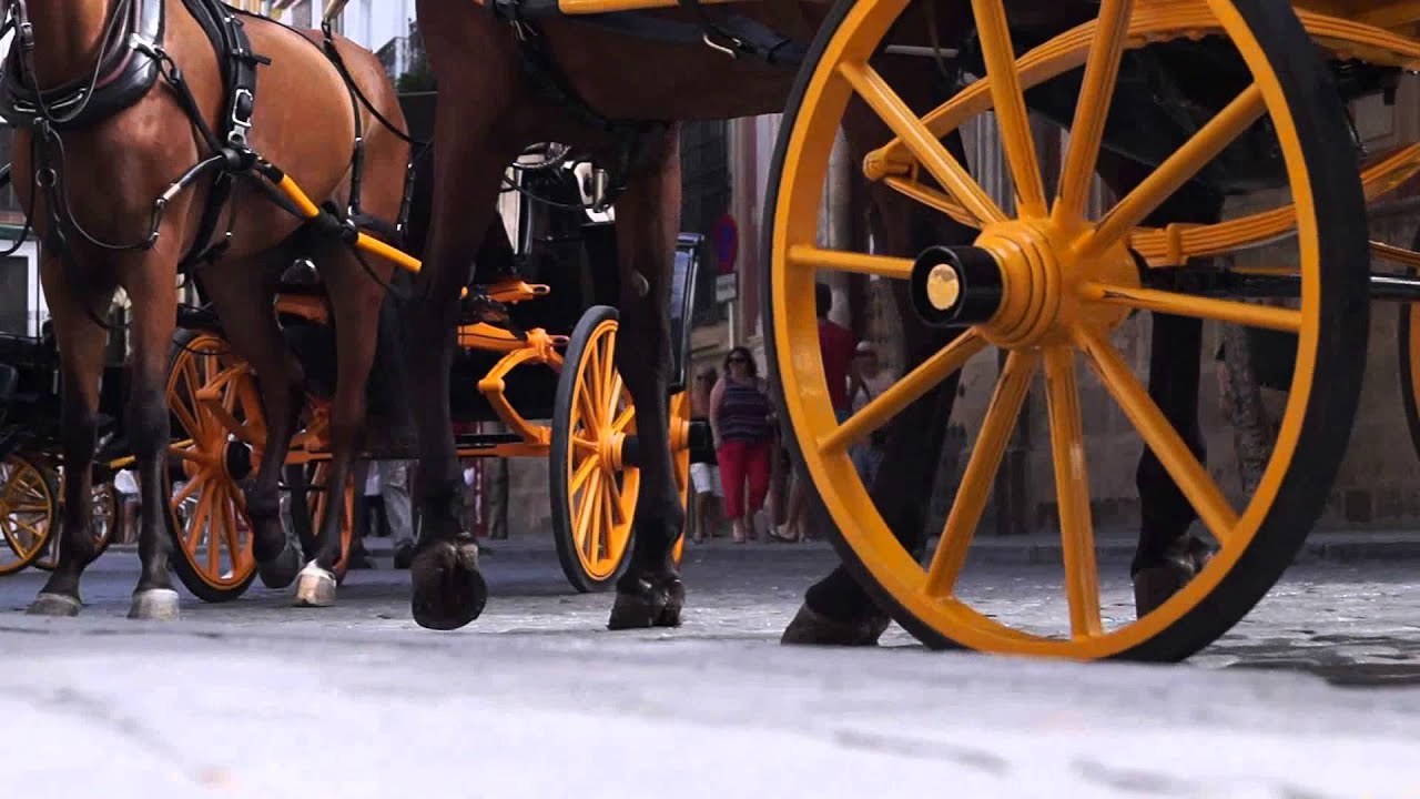 Paseo a caballo por Sevilla