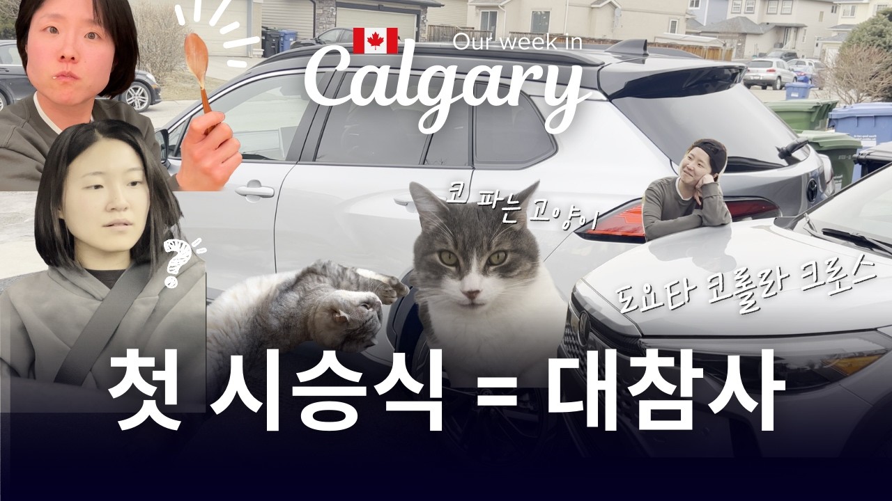 Calgary Vlog | 캘거리에서 차 뽑으면 생기는 일 🚗 우당탕 첫 드라이브 브이로그