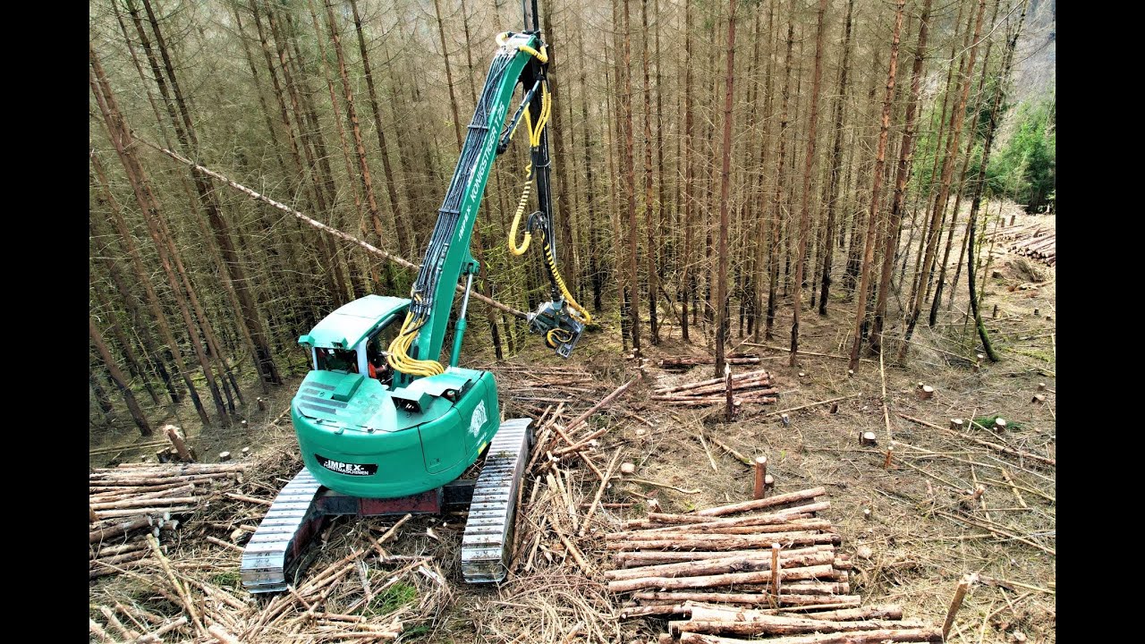 🌲*Tiger in wood* • Impex Königstiger T25 • HarvesterAction • 15 Meter Kran • Steilhang •  Part-2🌲