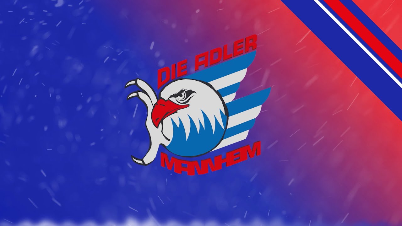 Adler Mannheim Torhymne 24/25