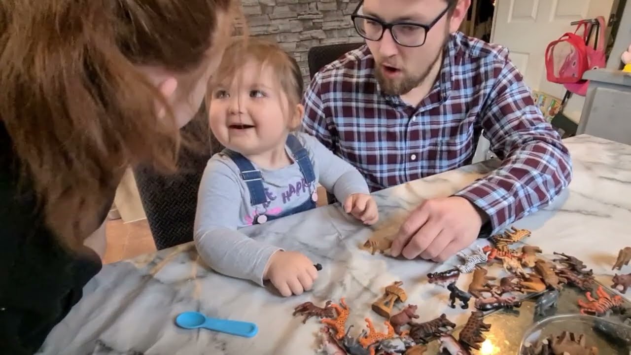 Learning Animals With Alexa