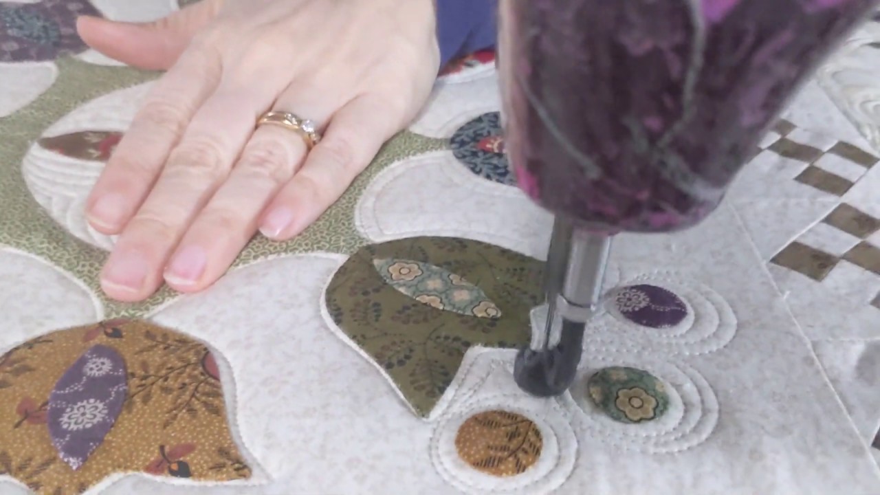 Longarm quilting around Applique, flowers, birds, feathers, echo quilting quilt gammill  free hand
