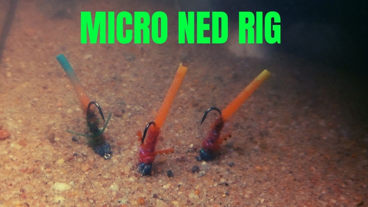 Micro Ned Rig für die Fliegenrute – Der Geheimtipp für Barsch & Forelle! 🔥