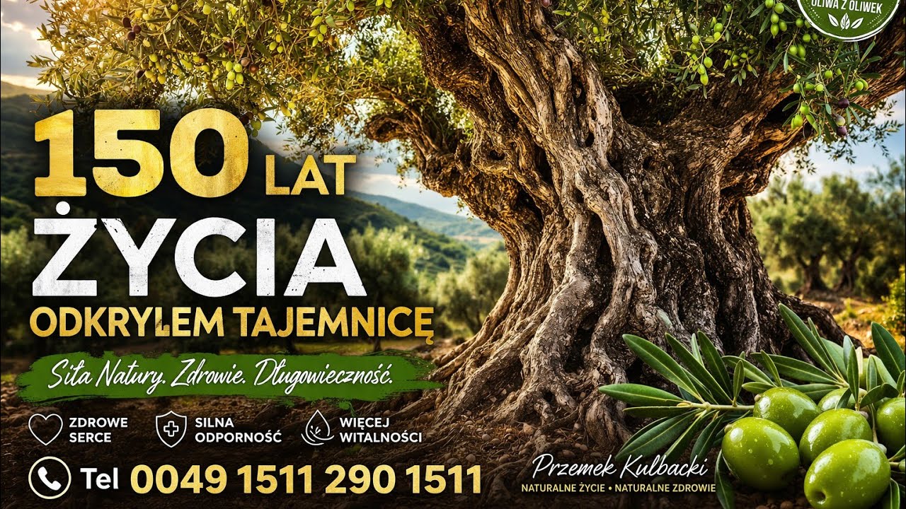 👉 🌿 &bdquo;Czy drzewo oliwne przetrwa zimę w Europie Środkowej? Sprawdziłem! 😱