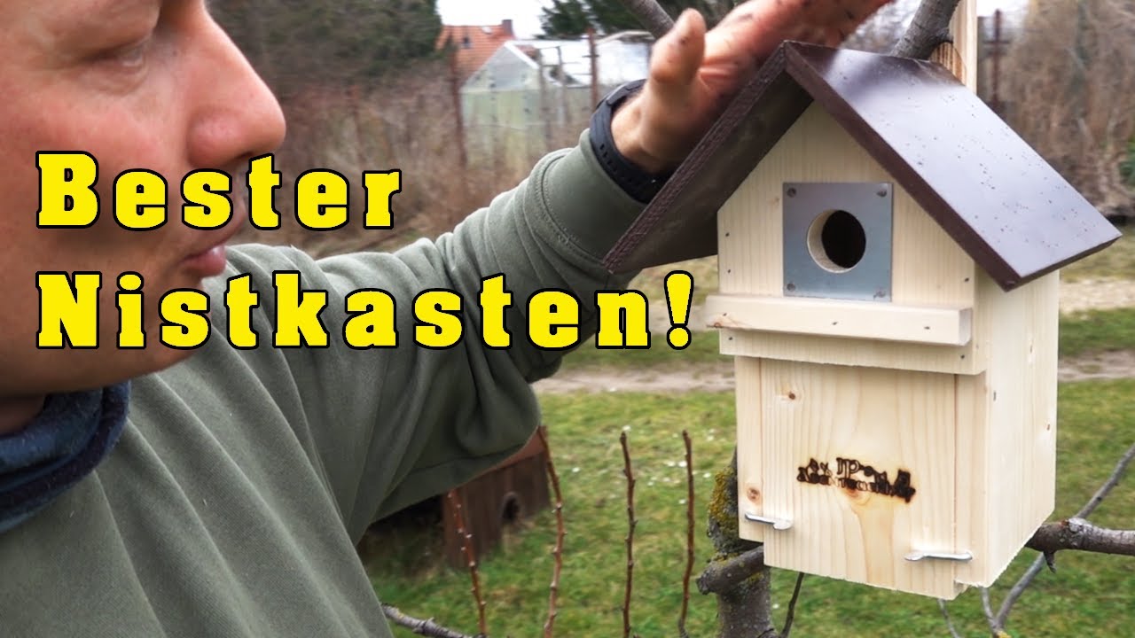 Bester Nistkasten für Meisen selber bauen!